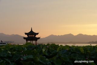 郑姓属龙的名字