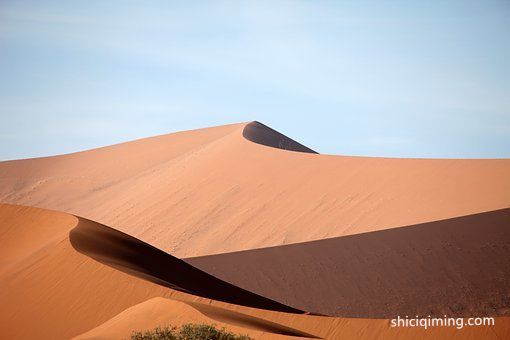 宝宝取名