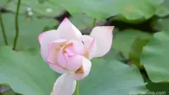 来自易经与论语里的稀有好听女孩名字
