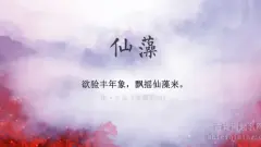 诗词中描写雪的词语适合起男孩女孩名字