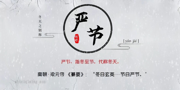 严节.jpg