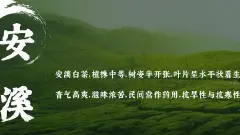 茶中饱含书卷之气的男孩名字