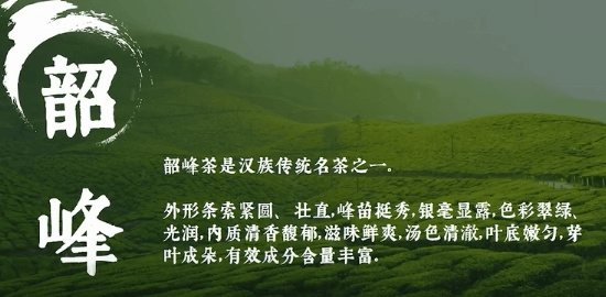 韶峰
