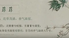 楚辞中惊艳又好听且寓意极佳的女孩名字