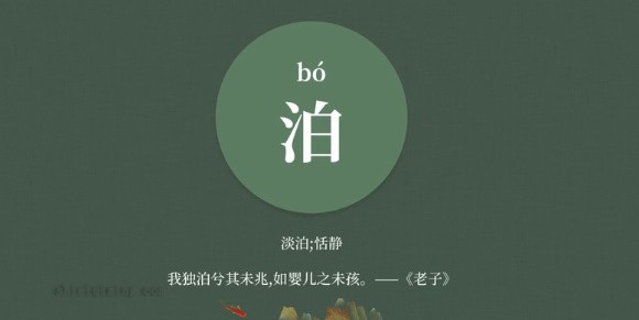 泊