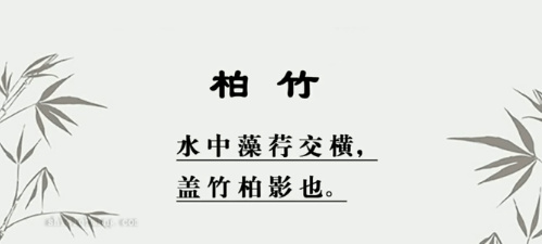 柏竹