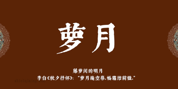 萝月