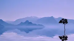 女孩董姓有气质名字大全