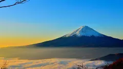 属虎男孩吉利又旺财的名字