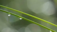 属虎李姓简单好听的男孩名字大全集