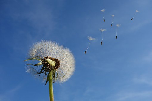 用《山海经》取小众诗意名字，让你的宝宝脱颖而出！