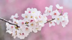 最霸气的孙姓男宝宝名字大全集