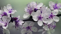 煜字搭配什么字比较好听