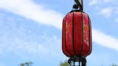 取名字免费起名，远离世俗的淡雅的女孩名字