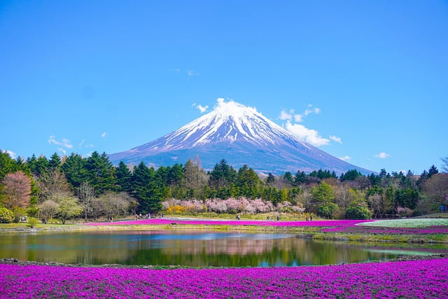 mount-fuji-8010752_640