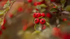 姓苏兔年男宝宝名字大全富有深意