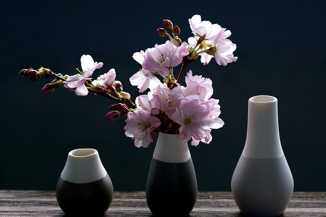 cherry-blossoms-4069596_640