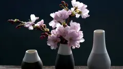 冷门独特稀少孩子名字（合集）
