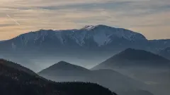 姓沈属兔男宝宝起名简短