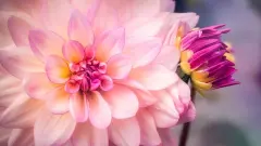 起名字大全孩子独特稀有