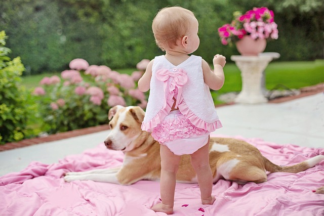 baby-with-dog-7388048_640