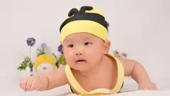 姓杨男孩名字简单大方洋气