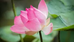 生小孩取什么名字好（分享1091个）