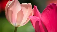 宝贝起名字生辰八字汇集