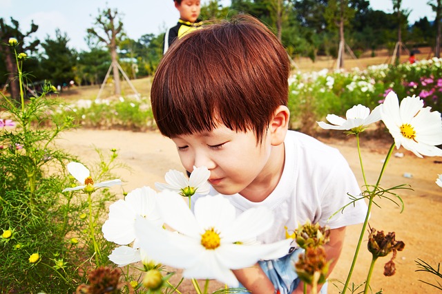 六月生孩子名字汇集182个