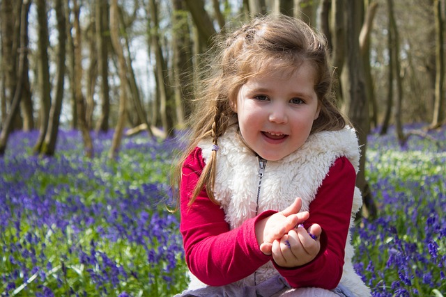 bluebells-1511842_640