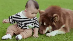 姓严男孩阳刚硬气的名字