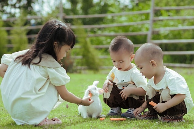 kids-9138810_640