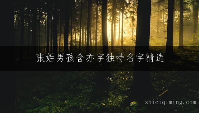 张姓男孩含亦字独特名字精选