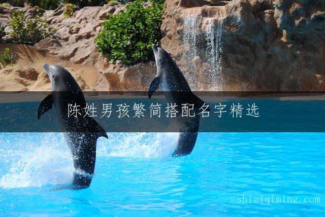 陈姓男孩繁简搭配名字精选