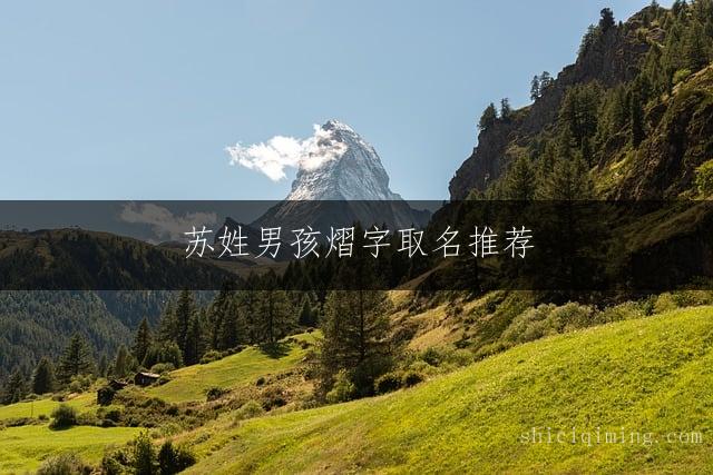 苏姓男孩熠字取名推荐：独特大气的新生儿名字精选