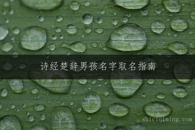 诗经楚辞男孩名字取名指南：聪明大气精选