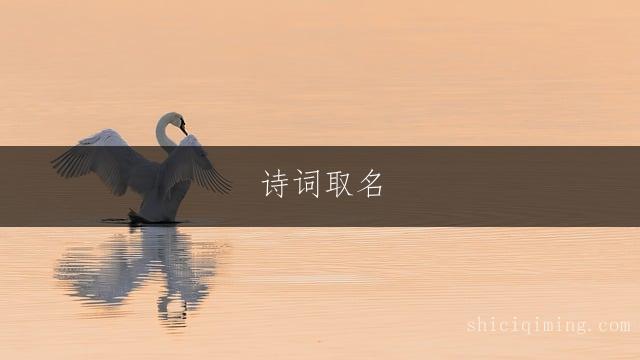 诗词取名：男孩不易重名的诗意选名技巧