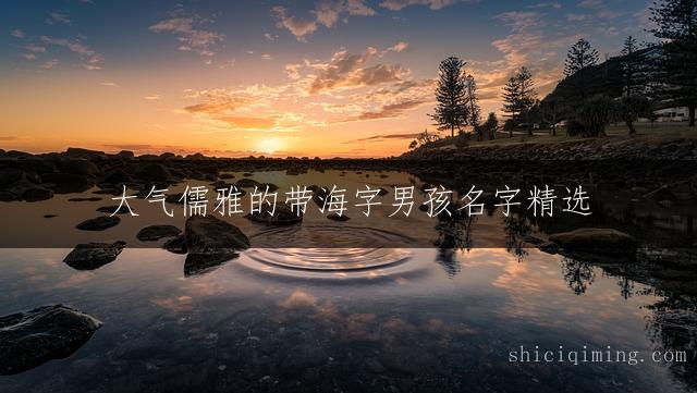 大气儒雅的带海字男孩名字精选 - 彰显气质的独特选择