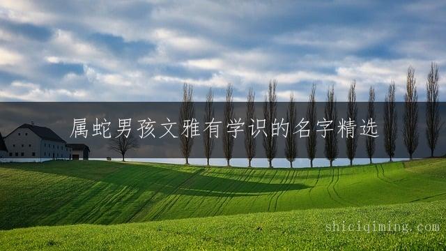 属蛇男孩文雅有学识的名字精选