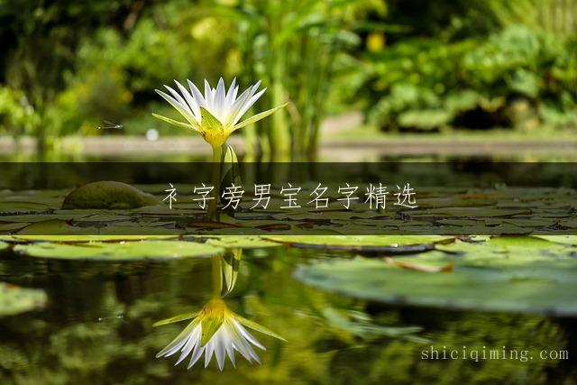 衤字旁男宝名字精选 | 独特且寓意美好的男孩取名推荐