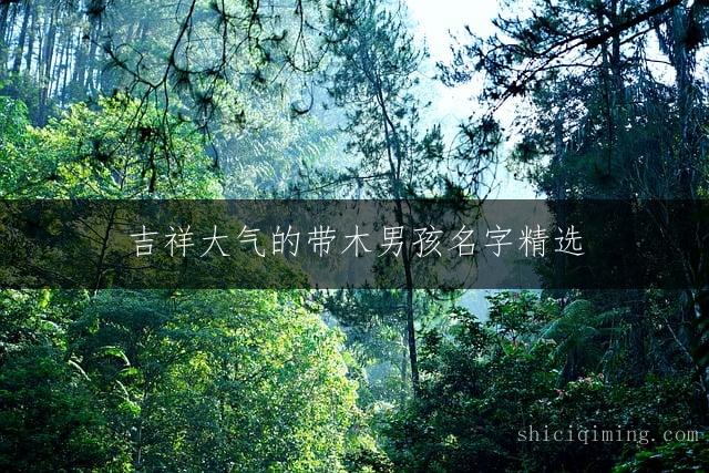 吉祥大气的带木男孩名字精选：给宝宝福气满满的好寓意