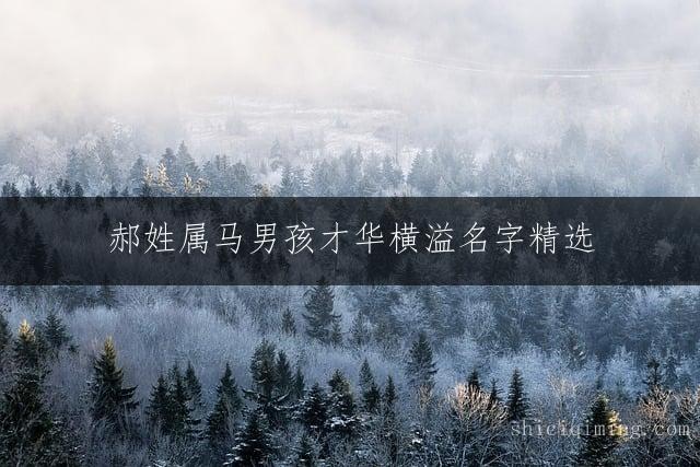 郝姓属马男孩才华横溢名字精选