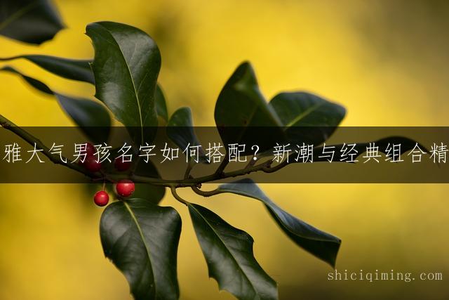 优雅大气男孩名字如何搭配？新潮与经典组合精选