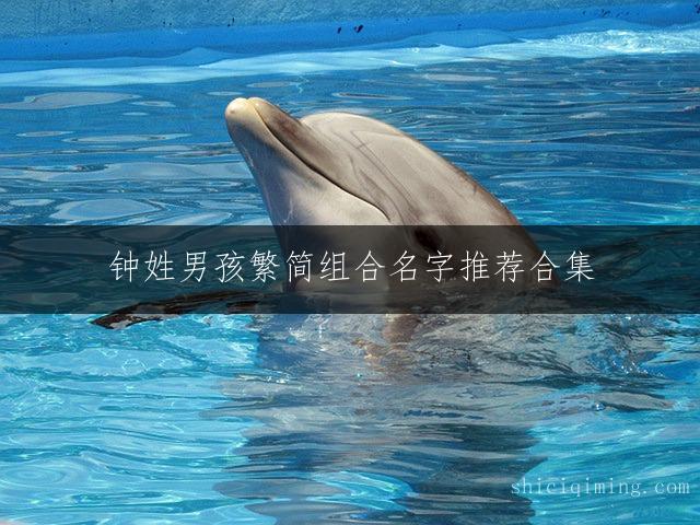 钟姓男孩繁简组合名字推荐合集