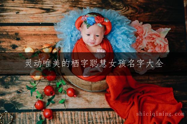 灵动唯美的栖字聪慧女孩名字大全