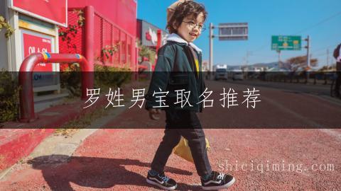 罗姓男宝取名推荐：繁简结构精选集