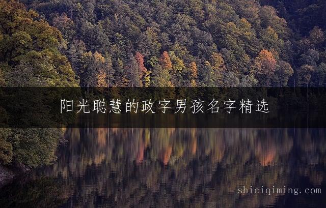 阳光聪慧的政字男孩名字精选 响亮大气有内涵有深意