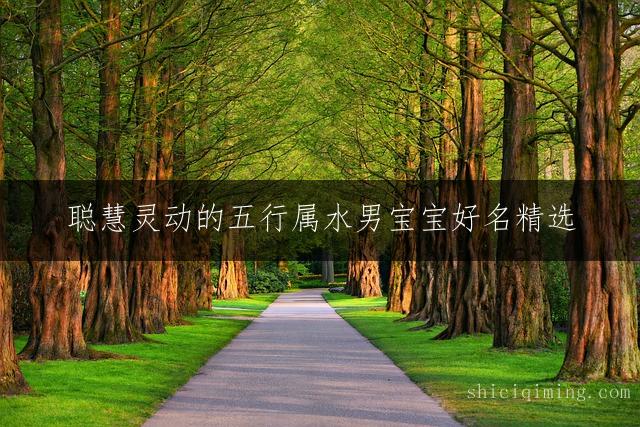 聪慧灵动的五行属水男宝宝好名精选：吉祥如意乳名大全