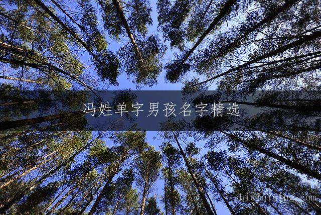 冯姓单字男孩名字精选:这些响亮好听的名字让宝宝人见人爱