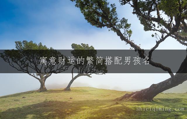 寓意财运的繁简搭配男孩名